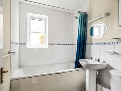 Picture 7